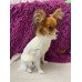 Puppy Dog Sweaters Winter Warm Pet Turtleneck Chihuahua Vest Soft Yorkie Coat Teddy Jacket